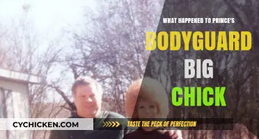 Prince's Bodyguard Big Chick: The Mysterious Disappearance Explored