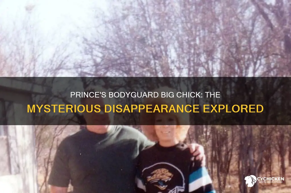 what happened to prince