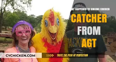 Where is AGT's Singing Chicken Catcher Now? Uncovering the Mystery