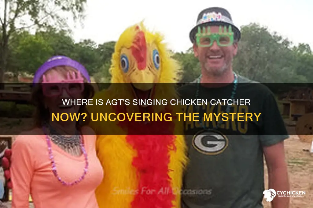 what happened to singing chicken catcher from agt