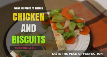 Sisters Chicken & Biscuits: The Rise, Fall, and Legacy Explored