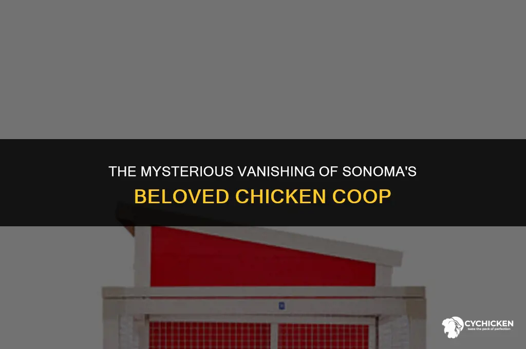 what happened to sonoma chicken coop