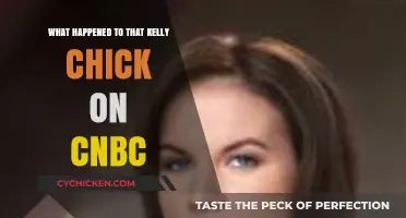 Where is Kelly Evans Now? CNBC Host's Journey and Current Status