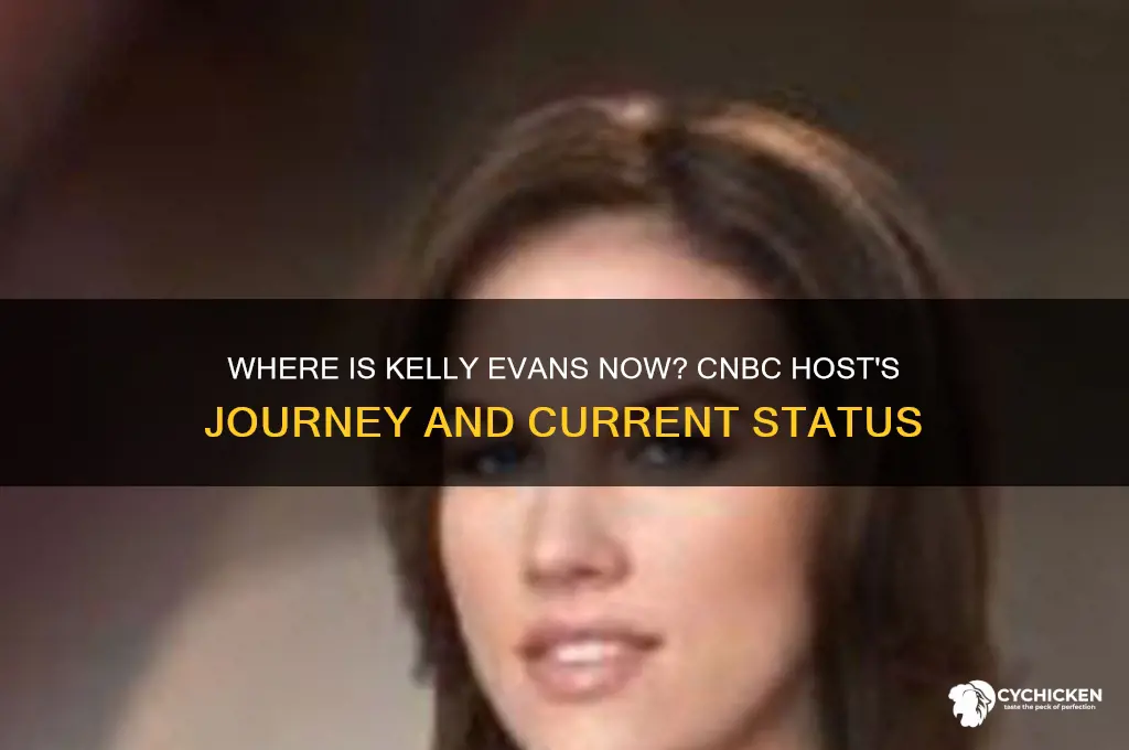 what happened to that kelly chick on cnbc