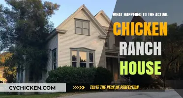 The Fate of the Infamous Chicken Ranch House Revealed
