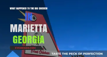 Marietta's Big Chicken: A Quirky Landmark's History