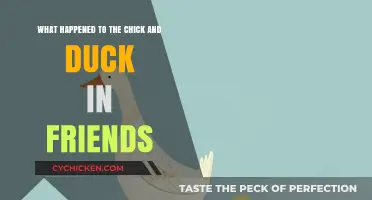 The One Where Chick and Duck Vanish