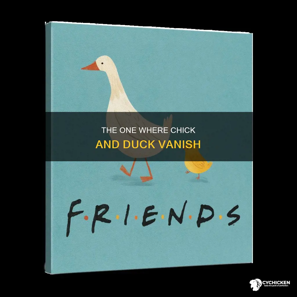 what happened to the chick and duck in friends