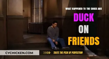The One Where Chick and Duck Disappear
