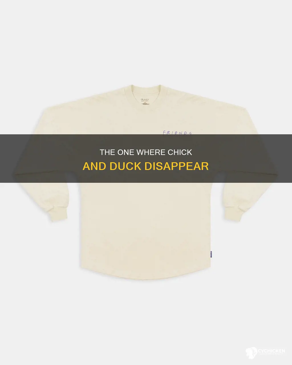 what happened to the chick and duck on friends