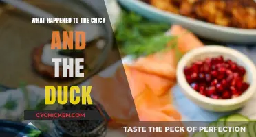The Chick and the Duck: Unraveling Their Unexpected Fate