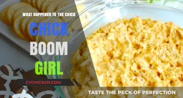 Chick Chick Boom Girl: Unraveling Her Disappearance and Legacy