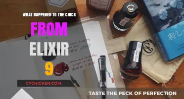 Elixir 9's Chick: Unraveling Her Mysterious Disappearance and Legacy