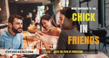 What Happened to the Chick in Friends? Unraveling the Mystery