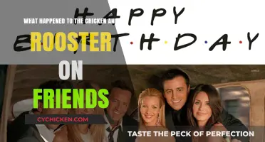 The One Where the Chicken and Rooster Vanished