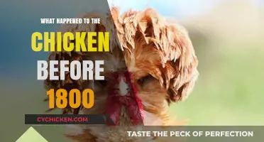 Clucks from the Past: Pre-1800 Chicken History Unveiled