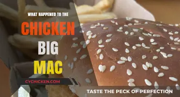 The Disappearance of the Chicken Big Mac: What Really Happened?
