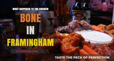 The Mysterious Disappearance of Framingham's Chicken Bone: Unraveling the Tale