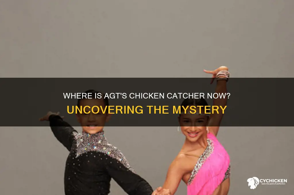 what happened to the chicken catcher from agt