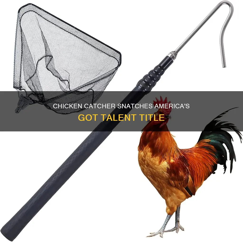 what happened to the chicken catcher that won america