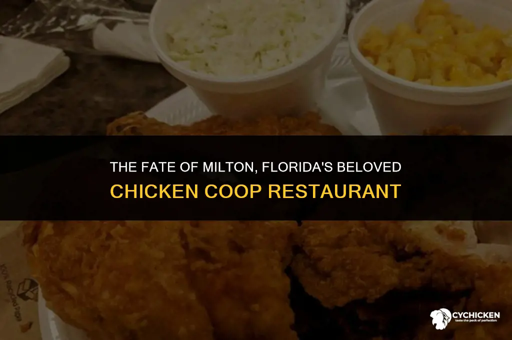 what happened to the chicken coop restaurant in milton florida