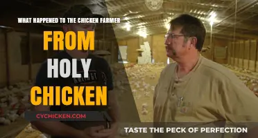Holy Chicken: Where Is the Farmer Now?