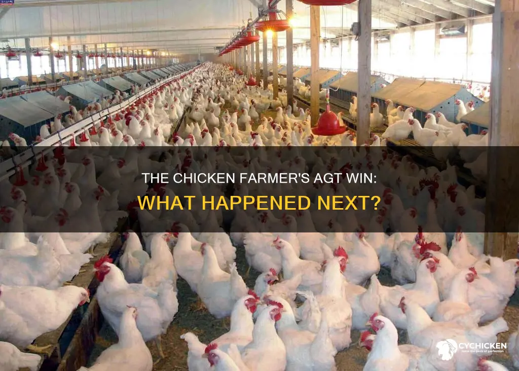 what happened to the chicken farmer who won agt