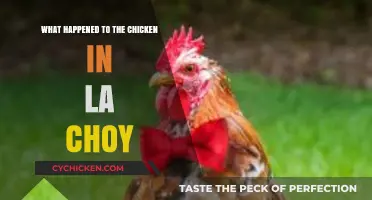 La Choy's Chicken Mystery: Unraveling the Disappearance Story