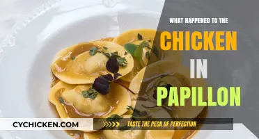 The Fate of the Chicken in Papillon: Unraveling the Mystery