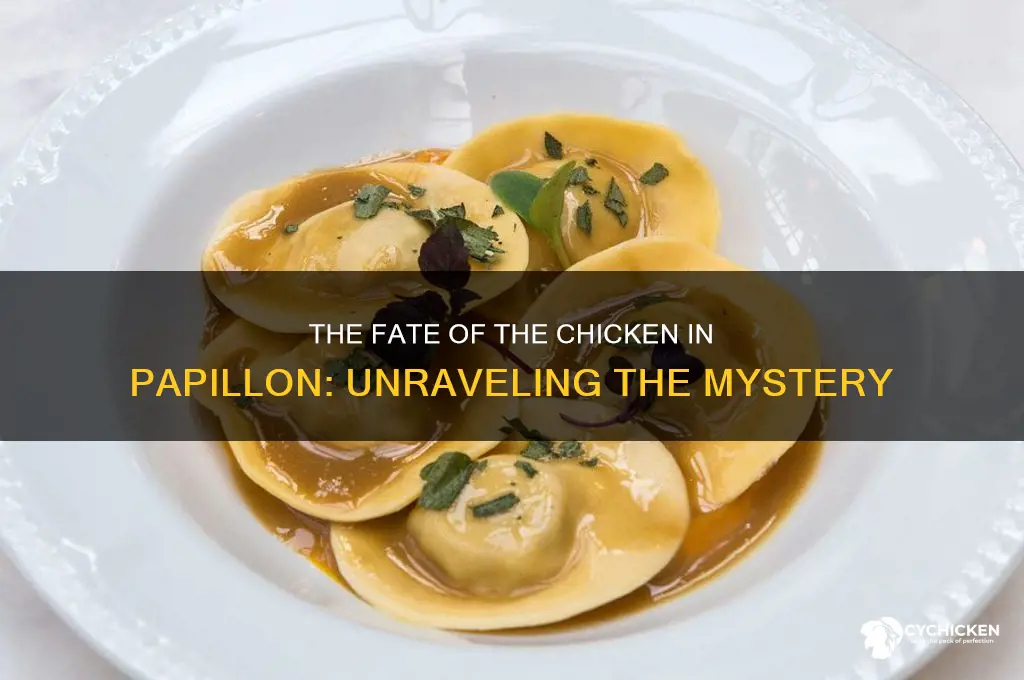what happened to the chicken in papillon