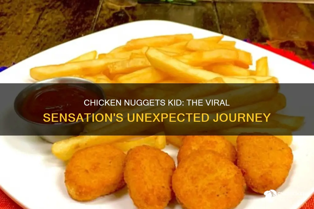 what happened to the chicken nuggets kid