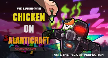 The Mysterious Disappearance of the Chicken on Atlanticraft Explained