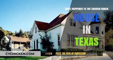 Chicken Ranch House: Texas' Infamous Past