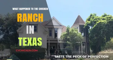 The Rise, Fall, and Legacy of Texas' Infamous Chicken Ranch