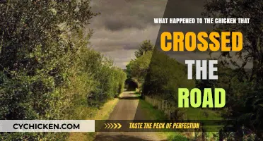 The Chicken's Fate: Crossing the Road