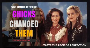The Dixie Chicks' Transformation: Unraveling the Events That Changed Them