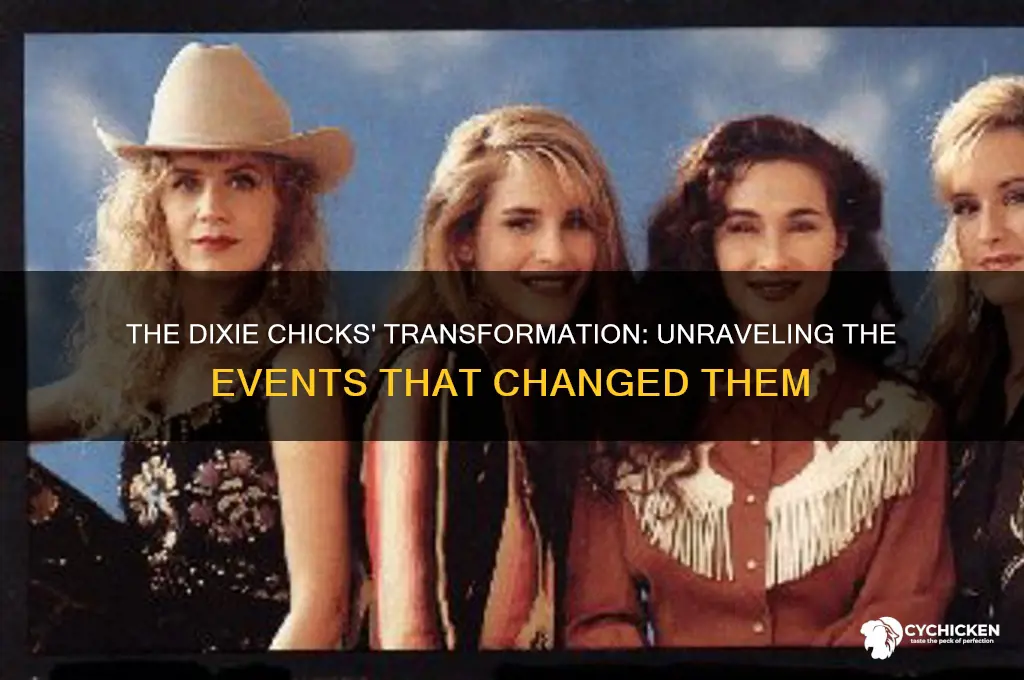 what happened to the dixie chicks changed them