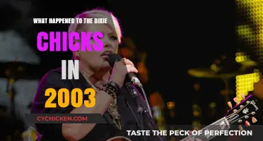 The Dixie Chicks' 2003 Backlash: A Turning Point in Country Music
