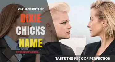 Why the Dixie Chicks Changed Their Name to The Chicks