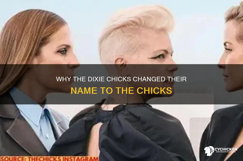 what happened to the dixie chicks name