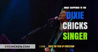 What Happened to the Dixie Chicks' Natalie Maines?