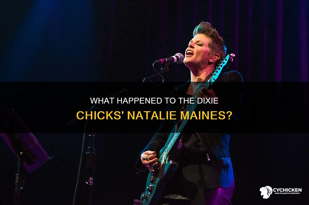 what happened to the dixie chicks singer