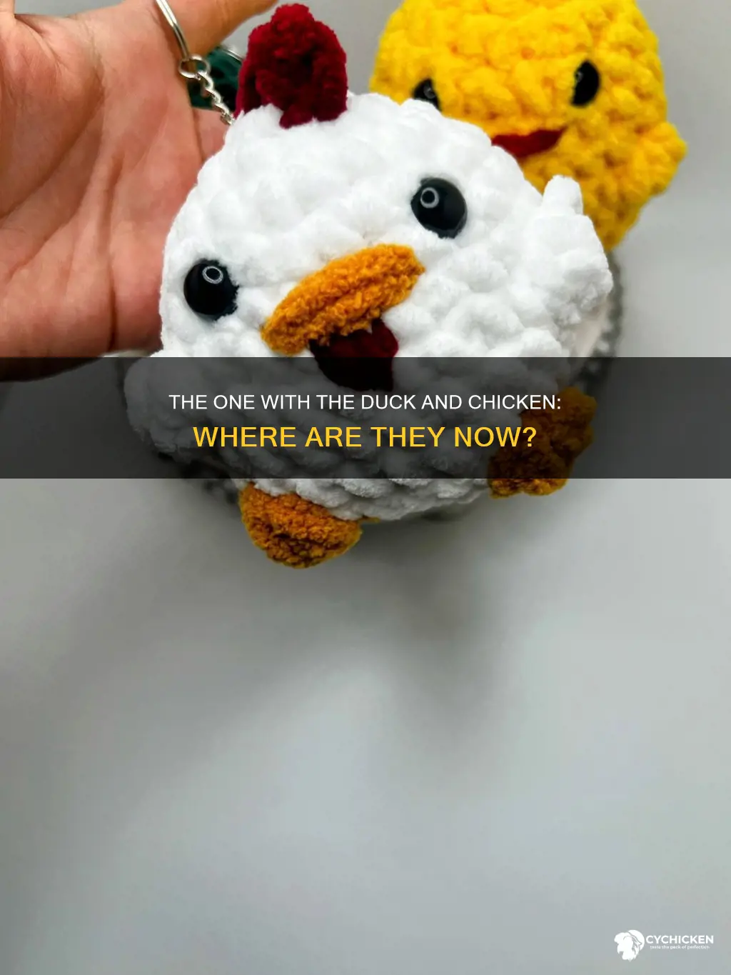 what happened to the duck and chicken from friends