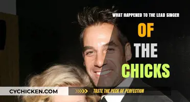 The Chicks' Singer: Her Story of Triumph