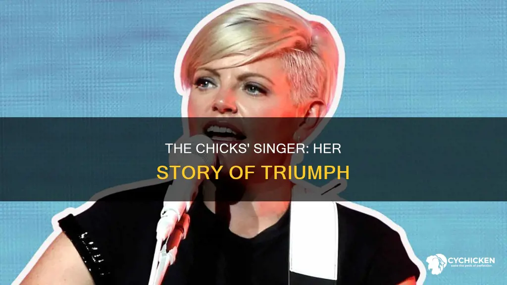 what happened to the lead singer of the chicks