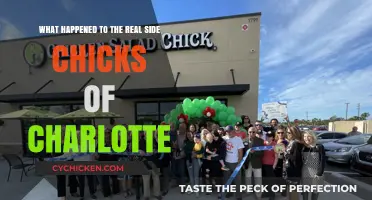 The Real Side Chicks of Charlotte: Where Are They Now?