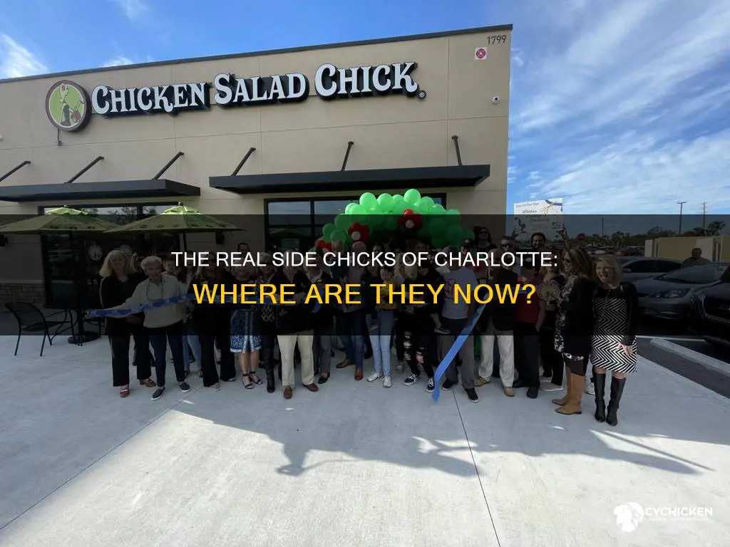 what happened to the real side chicks of charlotte