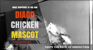 The Mysterious Disappearance of San Diego's Iconic Chicken Mascot