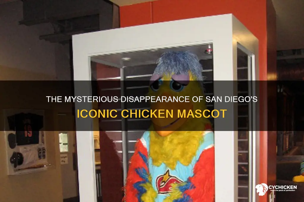 what happened to the san diago chicken mascot