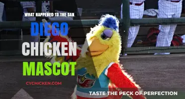 The San Diego Chicken Mascot: A Disappearance Mystery Unveiled
